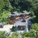 도동약수터 티스토리
