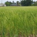 금악리경로당 이미지