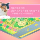 캣츠타운 이미지