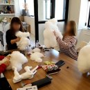 춘천애견미용학원 이미지