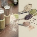 바이오솔트 이미지