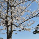 참살이조가비촌 이미지