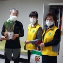 서림동-19 이미지