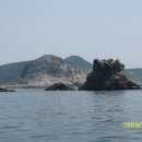 수영여 Daum백과