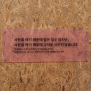 카와시마 코도리 : 사란란 - 석파정 서울미술관 미라이짱 사진전 후기