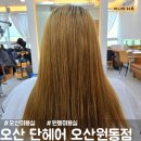 대림미용실 | [오산-원동] 오산 손상모 클리닉 전문 단헤어 오산원동점 /오산 미용실