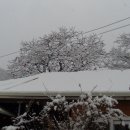 낚시와사람 이미지