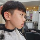 알렉스네스트