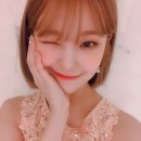 지헌