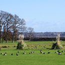 행복연장전 이미지