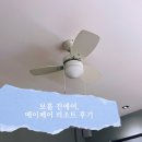 성환2로(터미널앞도로) | 보홀 진에어, 메이페어리조트 후기(+2터미널 진에어 코트 보관 장소)