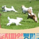 파인파크 이미지