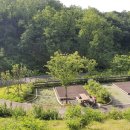 라인행정사 이미지