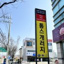 톰스개러지
