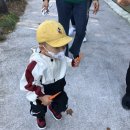 한우막사 이미지