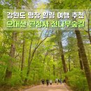 자연의 소리 | 오대산 월정사 전나무숲길 강원도 여행지 평창 가볼만한 곳 드라마 도깨비촬영지