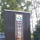 창조현수막 네이버블로그