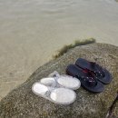 본슈즈 | (락피쉬 젤리슈즈)반짝이는 유행템에 홀렸다! 젤리슈즈 직접 신어본 솔직 후기