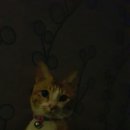 미랑미랑 이미지