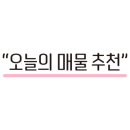 금화부동산중개 이미지