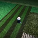 신당스크린골프 이미지