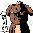 논산더집 네이버블로그