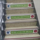 모든데코