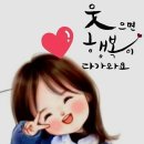 빠숑 이미지