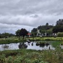 울릉천국 아트센터 | 25.10.18(토)잘잘잘◈천부항♧코스모스울릉도♧울릉천국아트센터