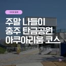탄금공원 종합안내소 | [충주 아이와 가볼만한 곳] 입장료 무료! '충주아쿠아리움' 개관 소식 &amp; 탄금공원 나들이 꿀팁