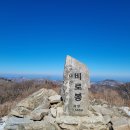 인경네 이미지