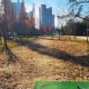 상관 파크골프장 이미지