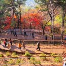 힐링산책코스 이미지