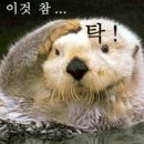 FRASER PLACE 이미지