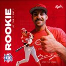 트윈스팜2 이미지