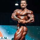 미스터보드 이미지