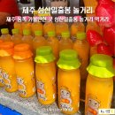 제주 동쪽 가볼만한 곳 성산일출봉 놀거리 먹거리 추천 (라봉스튜디오)