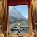 호수공원 푸른들판 화장실 | 인터라켄 신혼여행 후기ㅣ 노이하우스수영, 인터라켄 튠호수, 튠호수피크닉명소, 튠호수유람선...