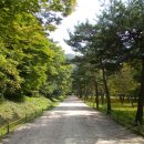 수다라성보박물관 이미지