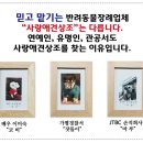 나은 강아지나라 이미지