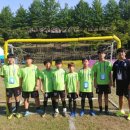 왜관초교 이미지