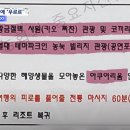 코끼리유흥주점 이미지