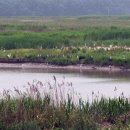 시화호수로 이미지