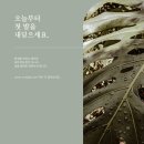 캔바로 카드뉴스 만들기 이미지