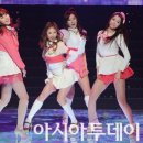 스텔라 아시아투데이