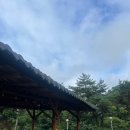 동가래별빛 - 1464 | 동가래별빛