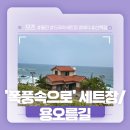 바다를사랑하는형제들 - 부평구 대정로35번길 13 | 울진 죽변항 근처 바다를 낀 예쁜 스팟! - 드라마'폭풍속으로' 세트장/용오름길 후기!