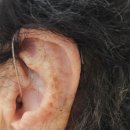 오티콘보청기 강서센터 | 부모님을 위해 선택한 공주보청기 상담 후기 오티콘보청기 공주센터