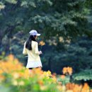 화사한여인