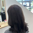 보스헤어 이미지